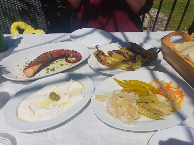 Epar.Od. Agias-Sklithrou 400 03, Πολυδένδρι 400 03