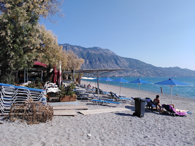 Comentarii opinii despre ΑΛΚΥΟΝΙΔΕΣ