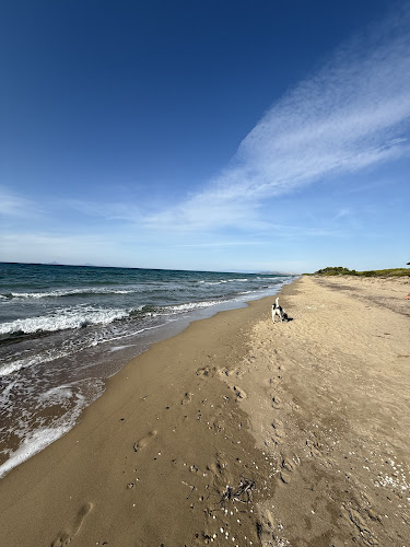 Μπρίνια 270 52