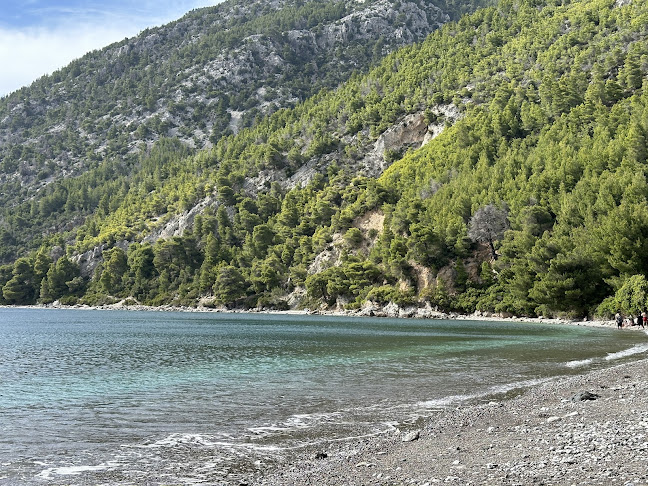 Dafni tavern - Δήμος Μεσσαπίων