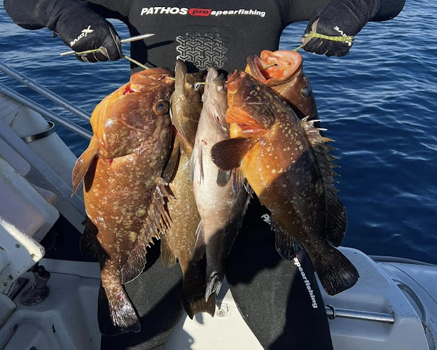 Comentarii opinii despre Giousouro