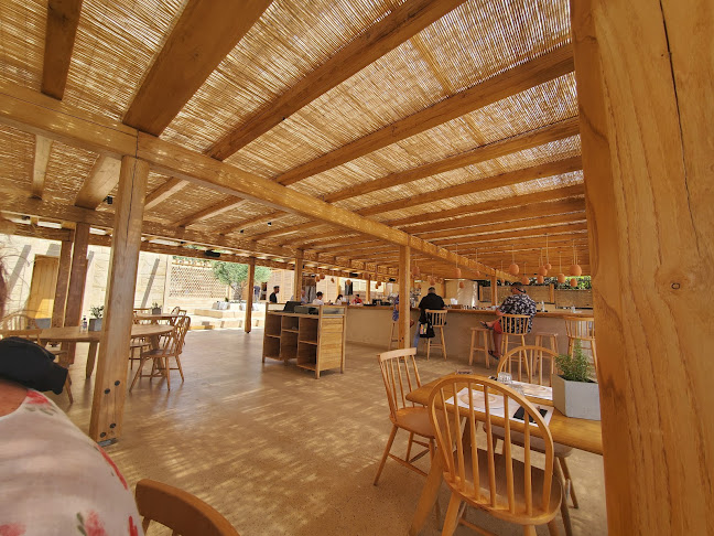 Comentarii opinii despre Beauvoir