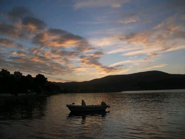 ΤΟ ΚΑΦΕ ΤΗΣ ΧΑΡΑΣ ΣΤΟΝ ΑΣΤΑΚΟ - Γαστρονομία και φιλοξενία