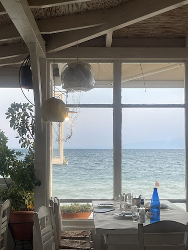 Νέα Προποντίδα 630 80