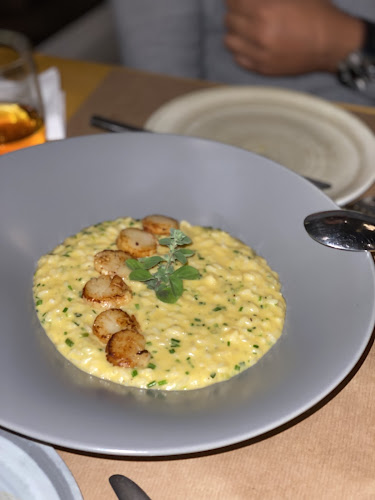 Seawolf Athens Restaurant - Αθήνα