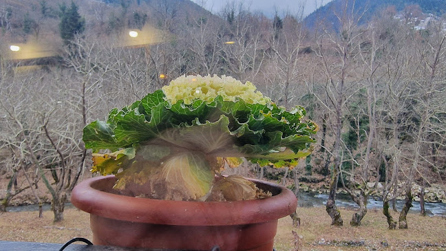 Ταβέρνα Το Σπίτι Του Ψαρά