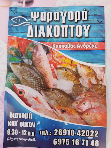 Διακοπτό 250 03