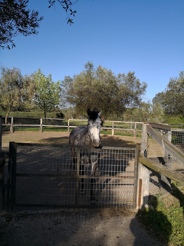 El Paso Saloon Park - Γαστρονομία και φιλοξενία