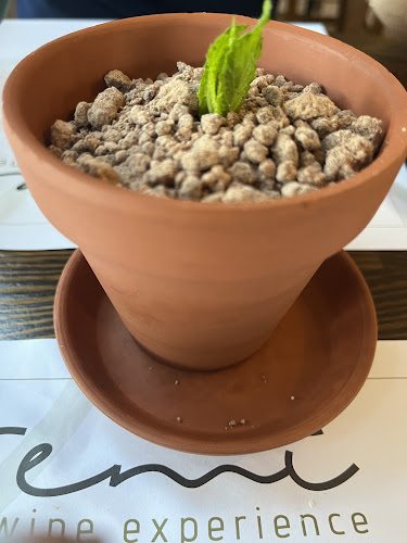 Comentarii opinii despre To Yiasemi Food & Wine Experience