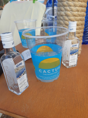 Cactus The Sunny Bar - Αρκίτσα