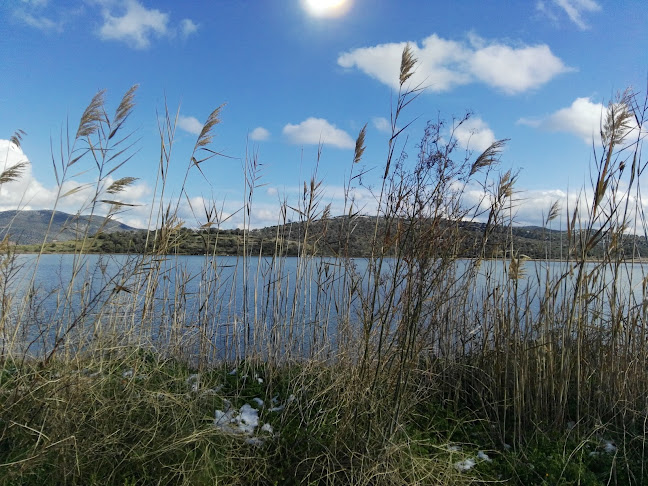 Κυκλάμινο (Kyklamino) - Τροιζήνα