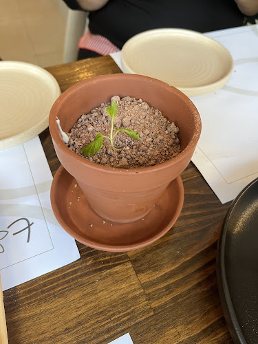 To Yiasemi Food & Wine Experience - Χαϊδάρι