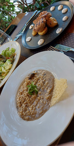 Comentarii opinii despre AGORA