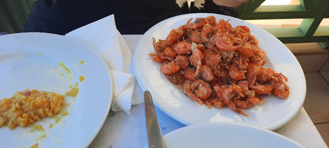 Φωλιά - Σπόα