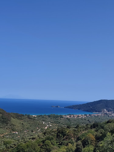 Comentarii opinii despre Utopia Restaurant- Winebar