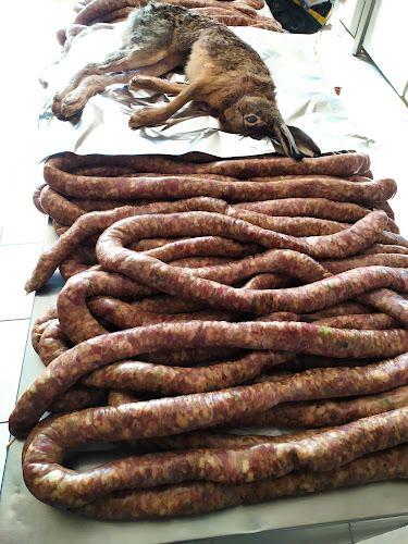 ΤΟ ΠΕΥΚΟ - Γλυκά Νερά