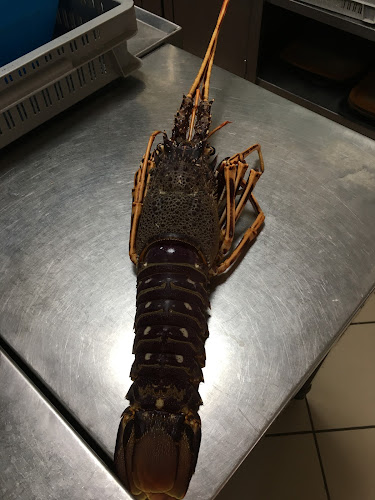 Εν Πλω - Κυπαρισσία