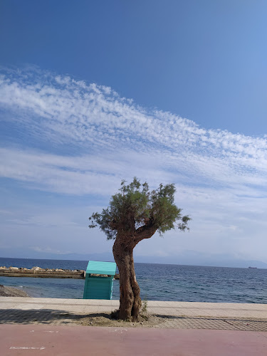 Cosi, Πλατεία Ξυλόκαστρο, Άγιος Βλάσης - Γαστρονομία και φιλοξενία