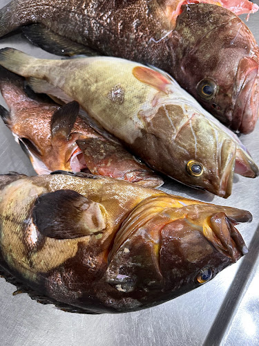 Giousouro - Νέα Αλικαρνασσός