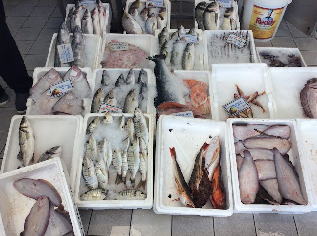 Fresh Fish GIazitzis - Kavala