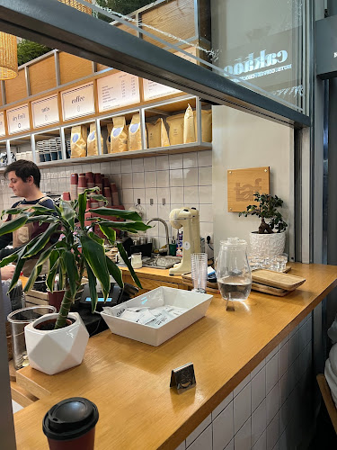 Comentarii opinii despre CAKAO x THE NEW GREEN