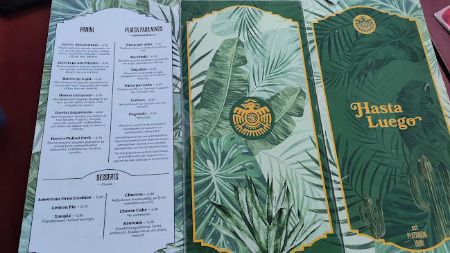 Οδός Καραμανλή 89, Πλαταμώνας 600 65