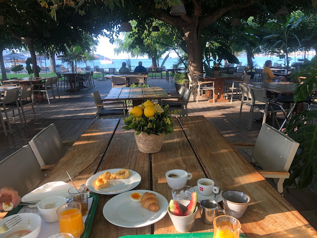 Opinii despre Natura Restaurant în Γιάλοβα - Γαστρονομία και φιλοξενία