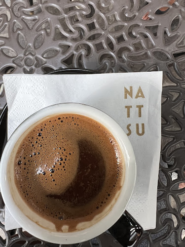 Comentarii opinii despre Nattsu