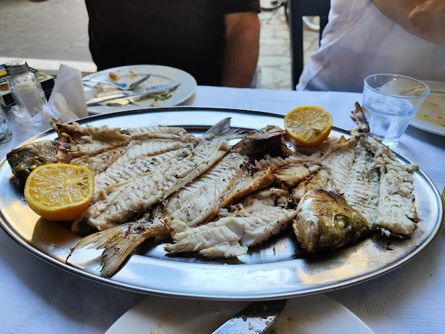 Κολοκοτρώνη 3, Καρδίτσα 431 00