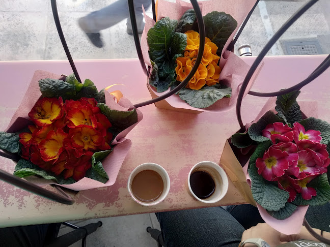 Χατζημιχάλη Γιάνναρη, Χανιά 731 35