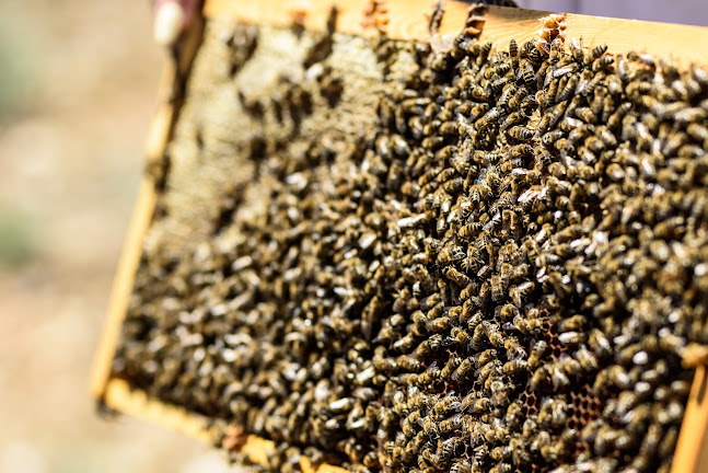 94HR+V58, Κρανίδι 213 00