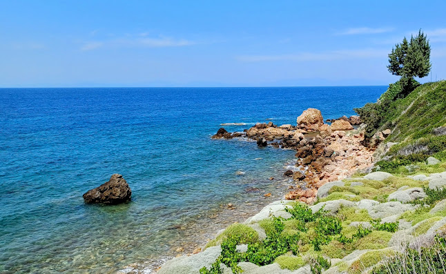 Comentarii opinii despre Οι Ψαράδες