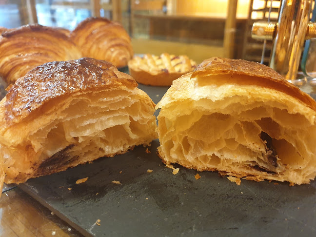 Ρίζος Ελαια-Φούρνος