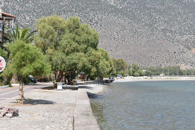 Tereza Ζαχαροπλαστειο-Catering - Κίρρα