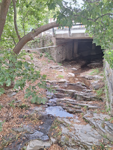 Comentarii opinii despre Ο Γρέγος