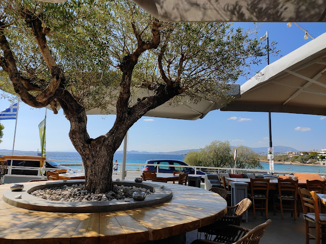 Oliveto Saronis - Σαρωνίδα