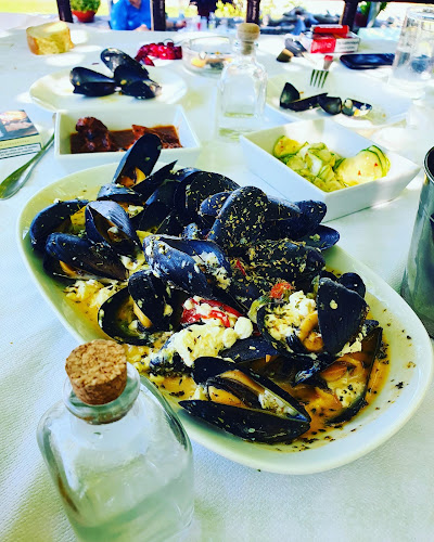 Paradies - Πολυδένδρι