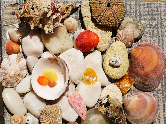 RIVA BEACH PROJECT - Γαστρονομία και φιλοξενία