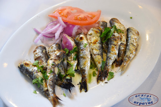 Comentarii opinii despre Ουζερί Ουρανός