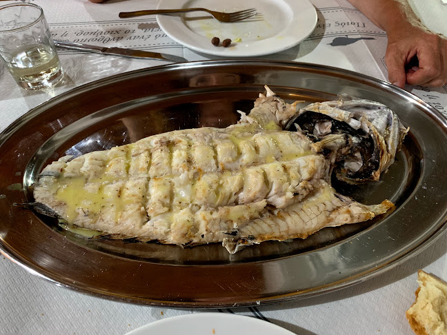 Πλατάνα 340 03