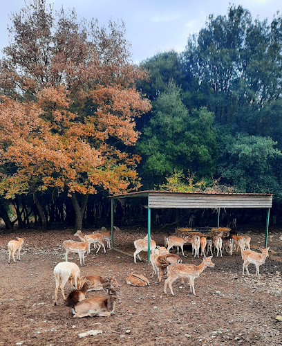 Αγρόκτημα Παπάκια - Γαστρονομία και φιλοξενία