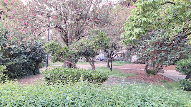 Εγλυκάδος 21, Πάτρα 263 35