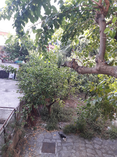 Το καφέ της Χαρούλας