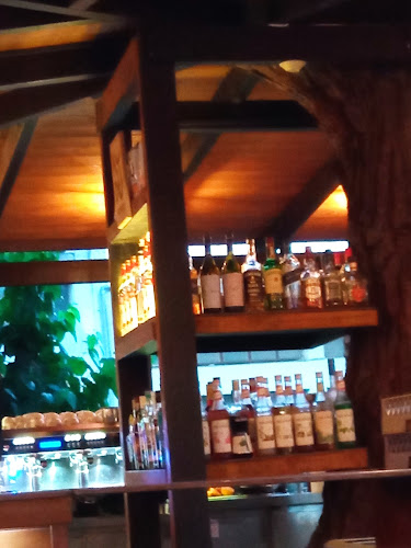 Comentarii opinii despre Φοίνικες