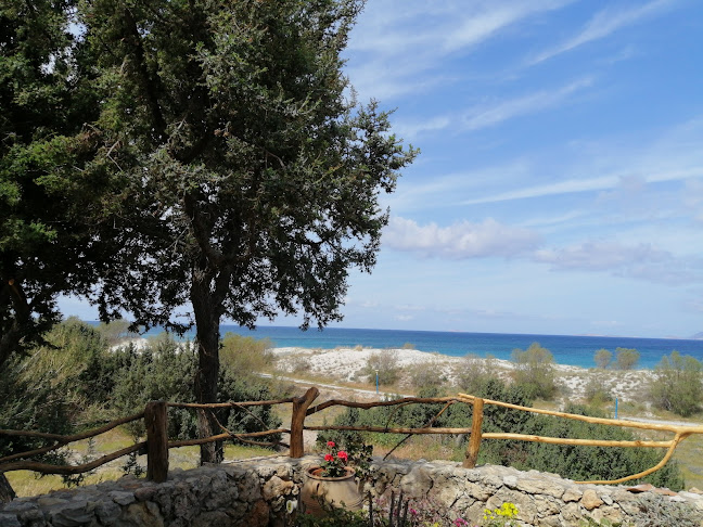 Comentarii opinii despre aplo beach bar cafe