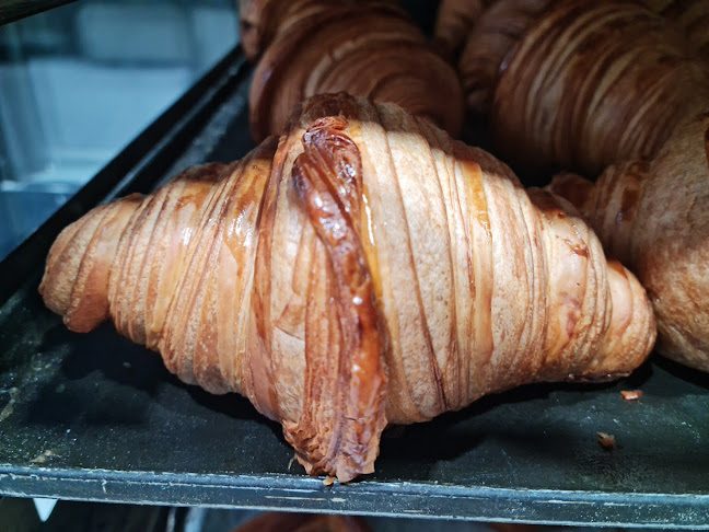 Comentarii opinii despre Ρίζος Ελαια-Φούρνος