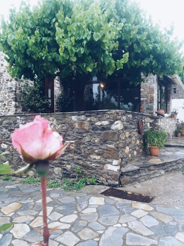 Κάπιστα - Γαστρονομία και φιλοξενία