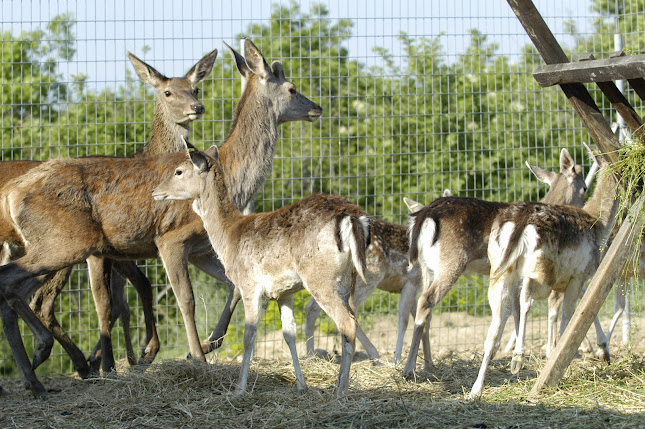 ΕΥΡΩΘΗΡΑΜΑ - Γαστρονομία και φιλοξενία
