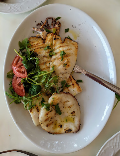 Νέα Προποντίδα 630 80