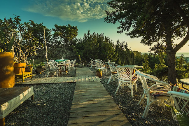 aplo beach bar cafe - Γαστρονομία και φιλοξενία